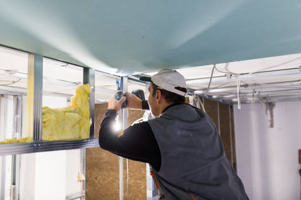 Types of Insulation We Offer in Langley, SC