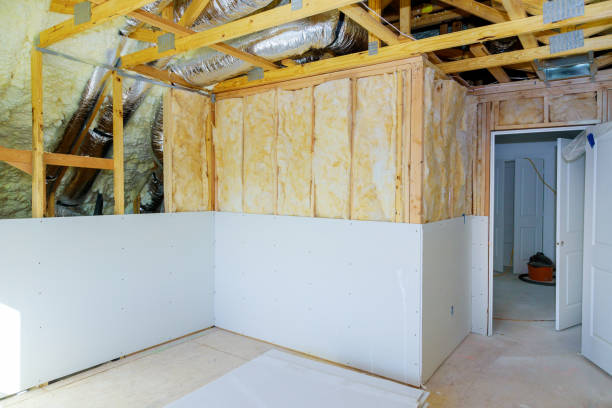 Trusted Langley, SC Insulation Experts