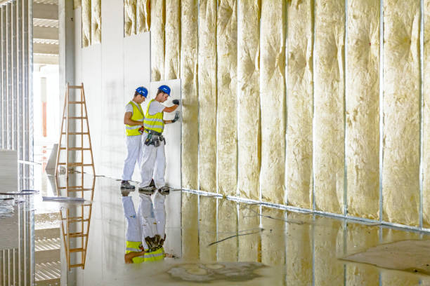 Best Eco-Friendly or Green Insulation Solutions  in Langley, SC